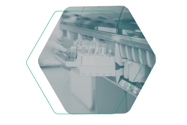 Medizinische Laborfachkraft setzt ein Proben-Rack mit Blutproben in ein automatisches Analysegerät ein.