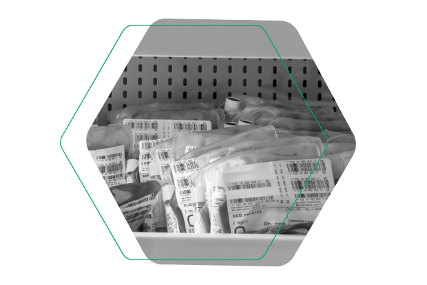 Gelagerte Blutkonserven und Blutbeutel mit Barcode-Etiketten für die digitale Verwaltung im LIS-Blutdepot.