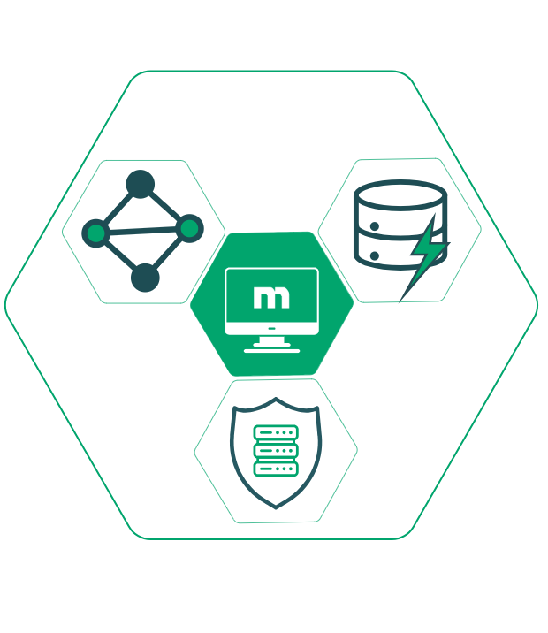 Grafische Darstellung eines vernetzten Laborinformationssystems mit Datensicherheit, Datenbank und Vernetzung