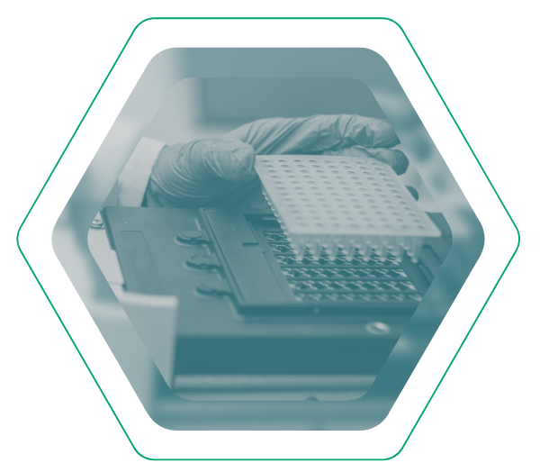 Hände in Laborhandschuhen bei der Arbeit mit einer Mikrotiterplatte an einem Analysegerät in einem sechseckigen Rahmen. Symbol für Labormedizin und Routinediagnostik mit MEDAT Software.