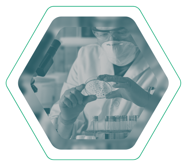Laborant mit Schutzmaske untersucht eine Petrischale im Sechseck-Rahmen. Symbol für Mikrobiologie und Spezialdiagnostik in der Laborsoftware.