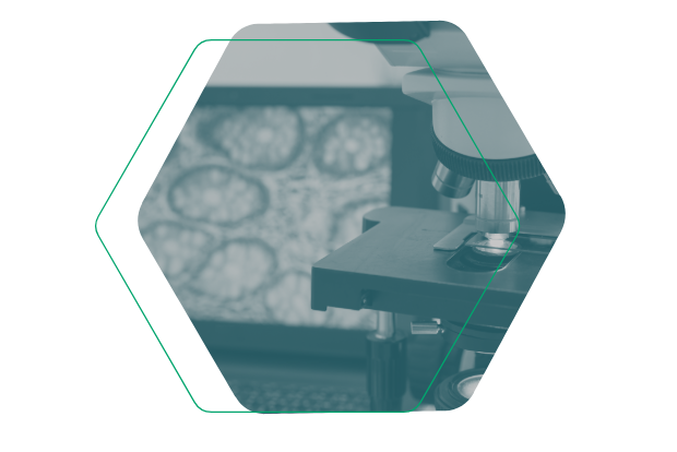 Mikroskop vor einem Monitor mit digitalem Gewebeschnitt im Sechseck-Design. Visualisierung moderner Laborsoftware für Digitale Pathologie und Befundung.